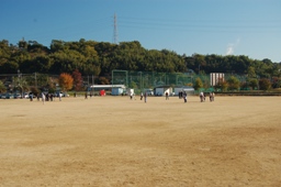金光スポーツ公園の画像