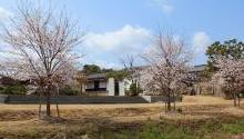 桜・阿藤伯海記念公園