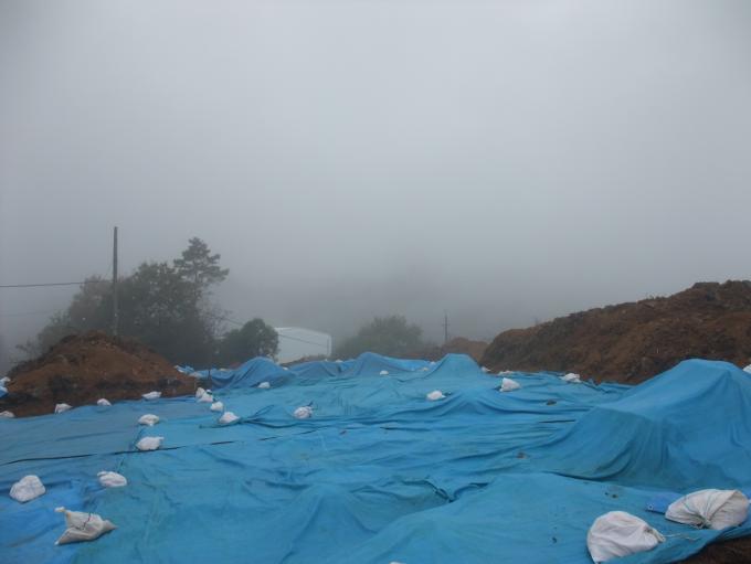 雨の日の調査区