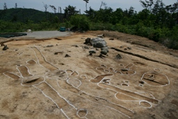 中世の遺構全景（北西から）の画像