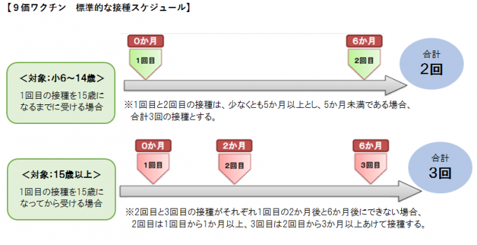 9価標準スケジュール