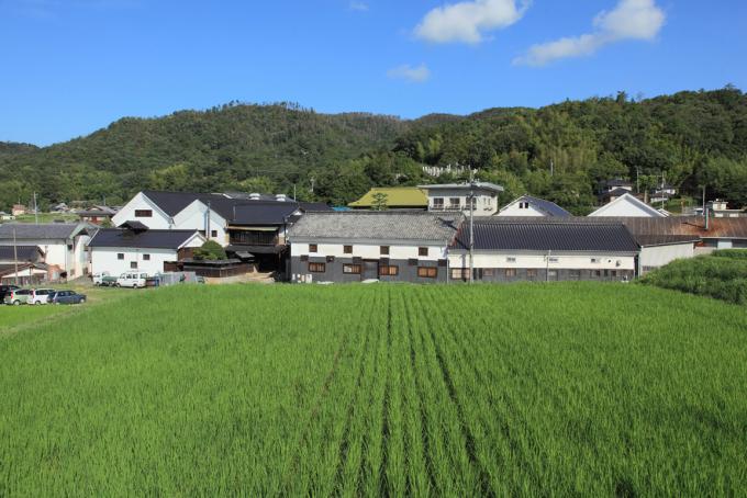 丸本酒造の画像