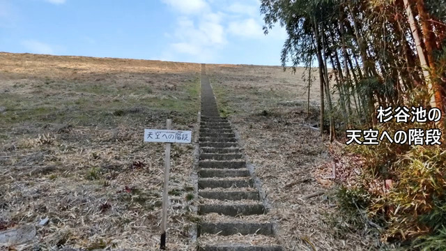 リモート観光・杉谷～天空への里山(1)～