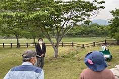 アッケシソウ自生地草刈り1