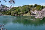 浅口市丸山公園の画像1