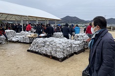 よりしま海と魚の祭典2