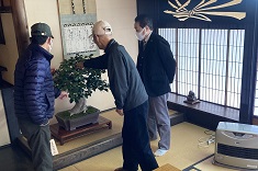 盆栽展1