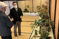 盆栽展2