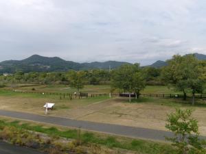 アッケシソウ自生地