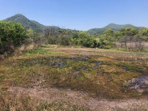 5月B地区