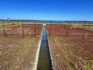 チカラコタン全景