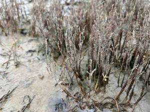 チカラコタン10月②