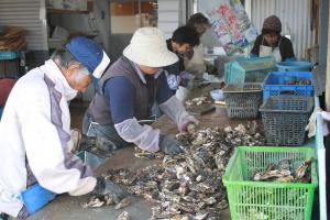 牡蠣工場