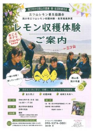 レモン収穫体験